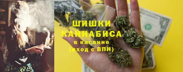 гидра Алексин