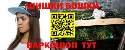 spice Новодвинск