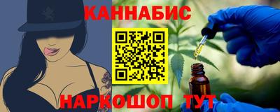 spice Новодвинск
