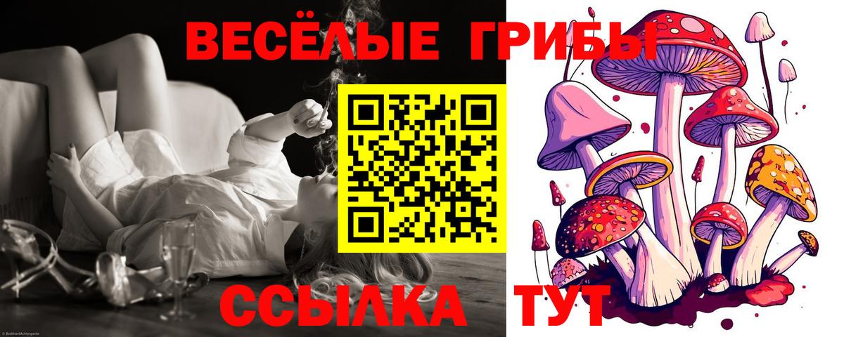 Галлюциногенные грибы мухоморы  Вход с VPN  Похвистнево 